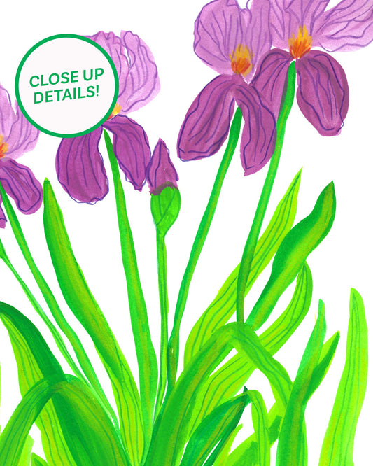 Bountiful Iris' Art Print