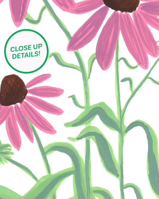Coneflower Posies Art Print