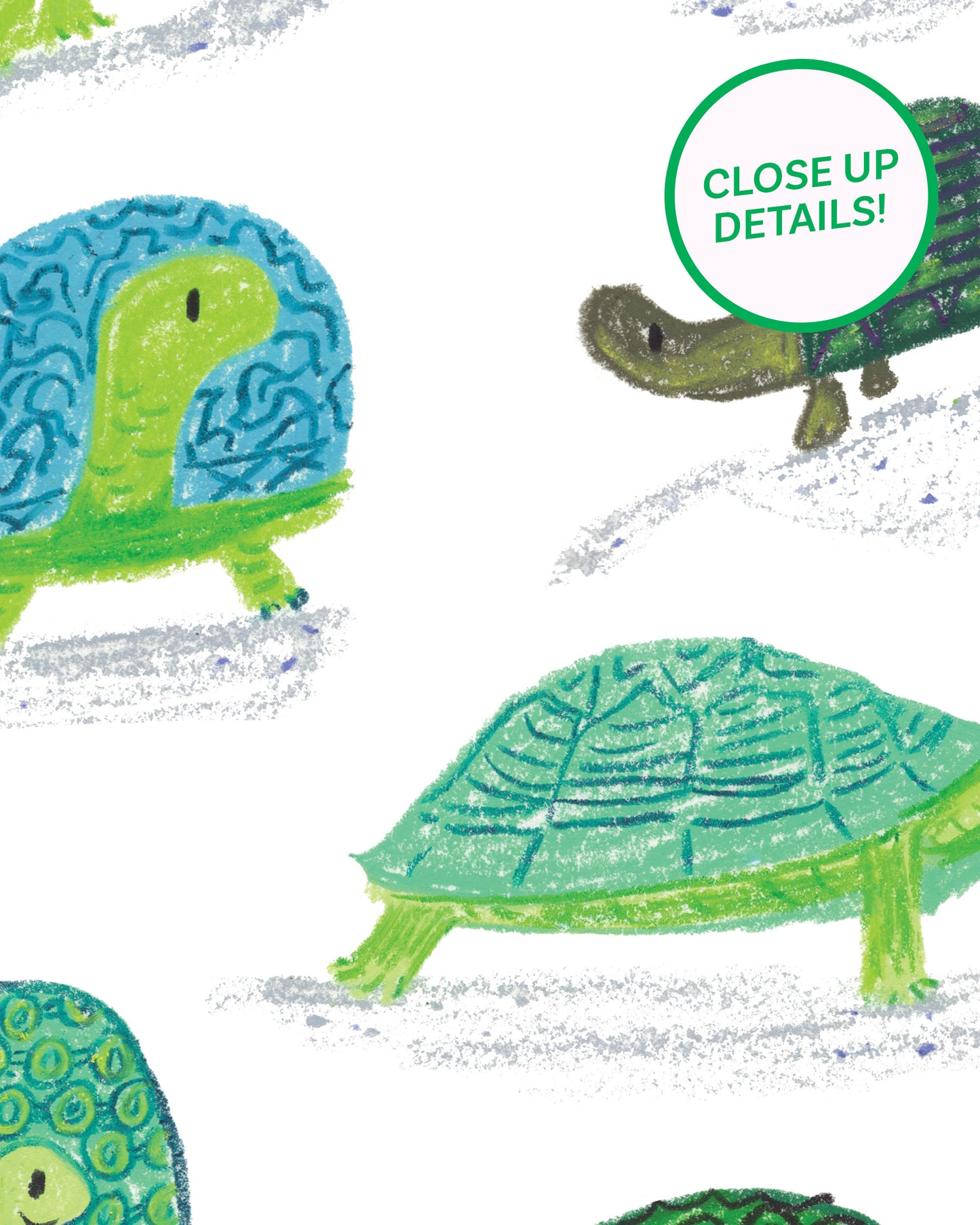 Turtle Collection Art Print