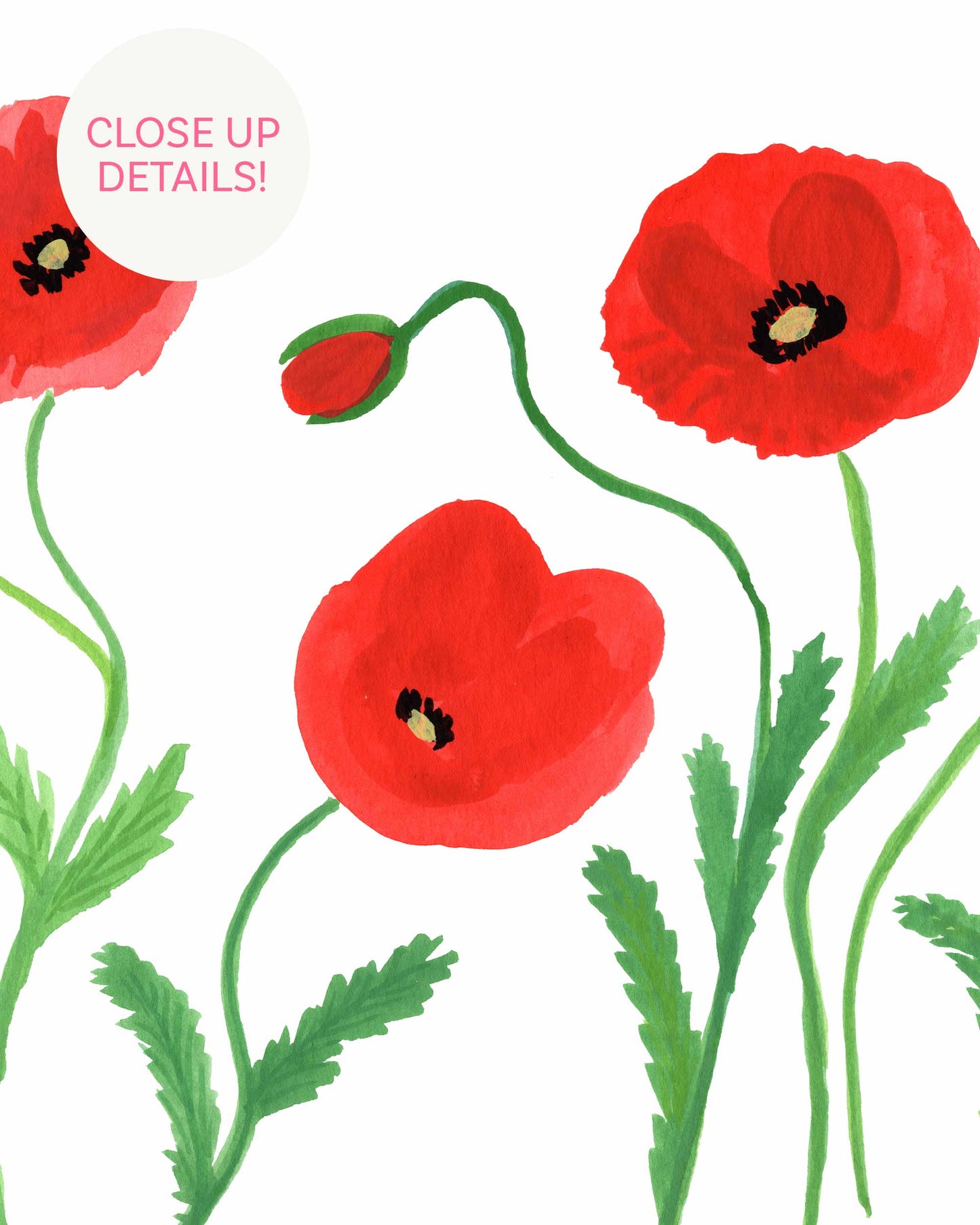 Poppies Art Print