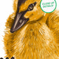 Ducky with Attitude Art Print