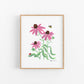 Coneflower Posies Art Print