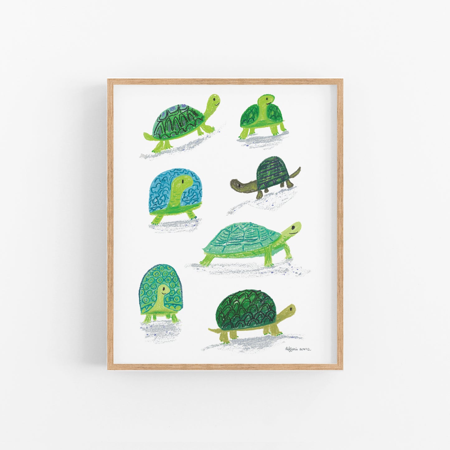 Turtle Collection Art Print