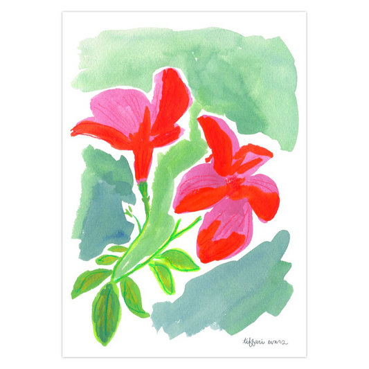 Mandevilla Stationery Cards