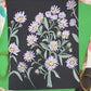 Aster Shine