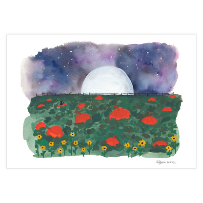 Pumpkin Patch at Night Note Cards