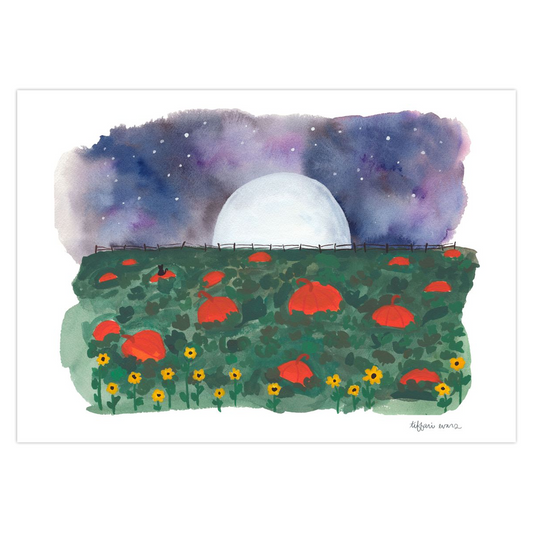 Pumpkin Patch at Night Note Cards