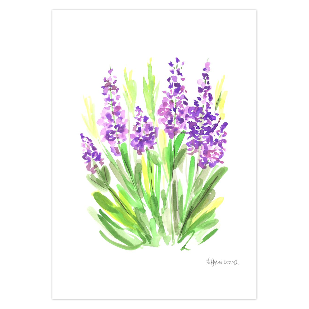 Purple Baptisia Stationery Cards