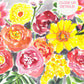 A Burst of Happy Art Print