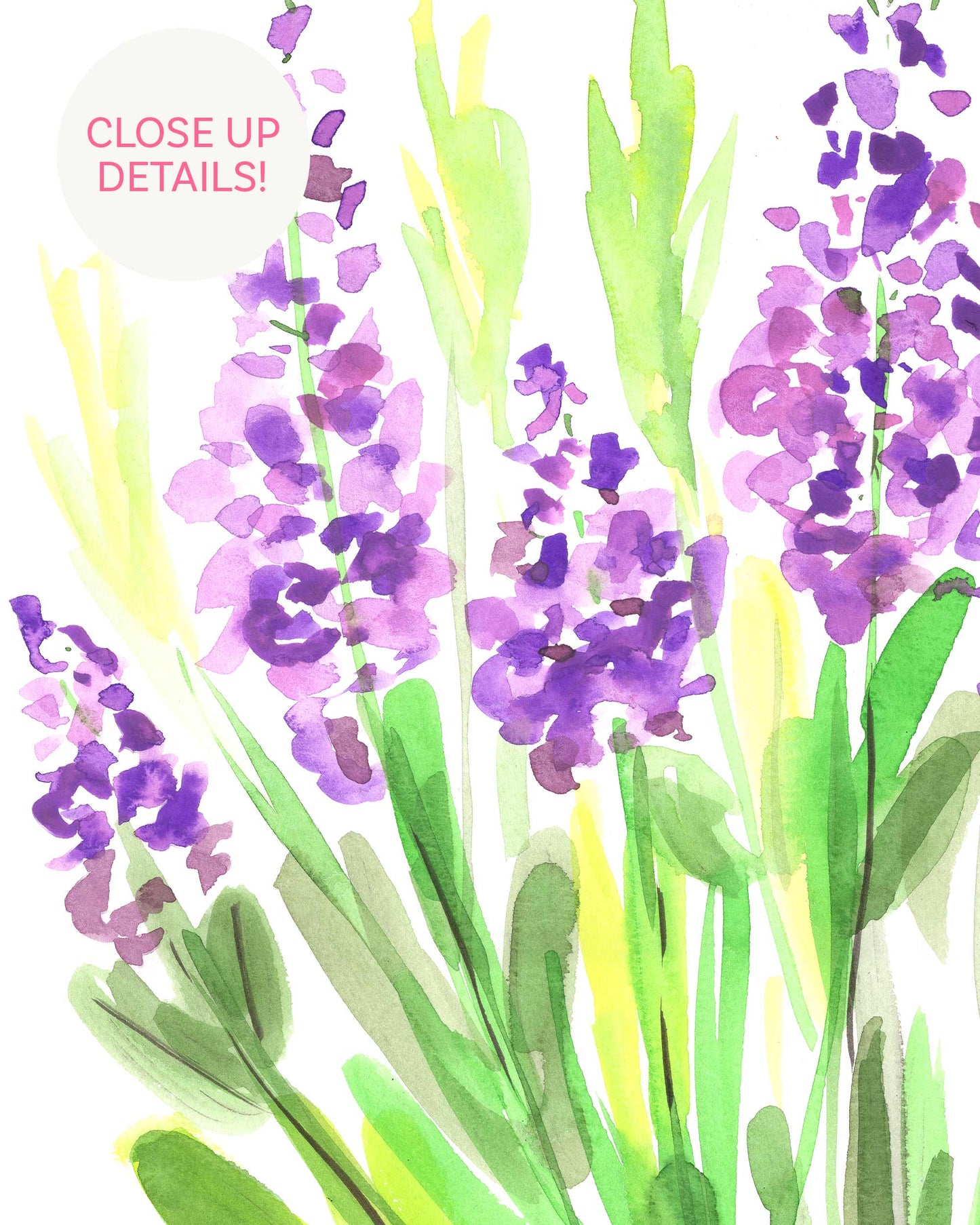 Purple Baptisia Art Print