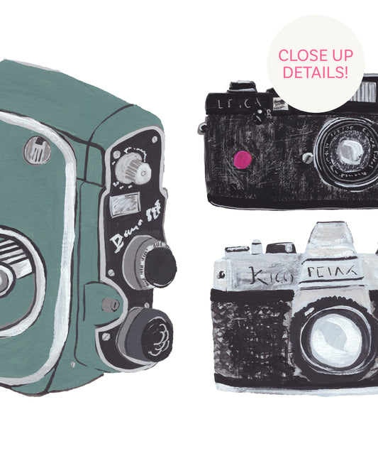 Vintage Cameras Art Print