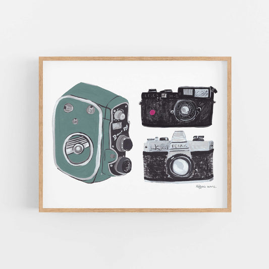 Vintage Cameras Art Print